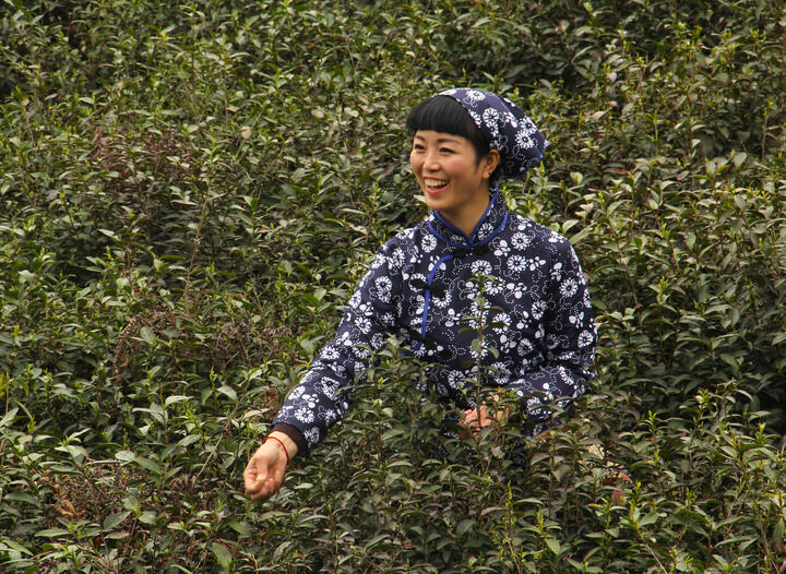嘴唇直播下载 暗巷侦探